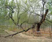 夏津天气预报60天