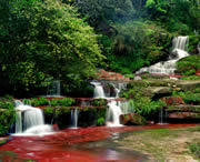 赤水天气预报15天