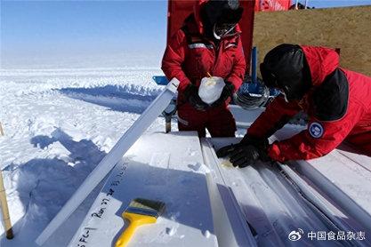 震惊全球，中国在南极意外发现“海上粮仓” ，呼吁长远可持续利用