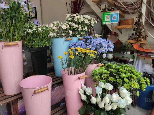 花店都有哪些鲜花品种名称